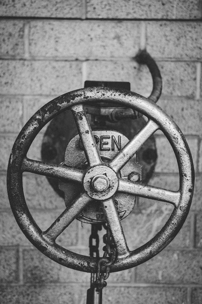 Pexels Photo 12032943