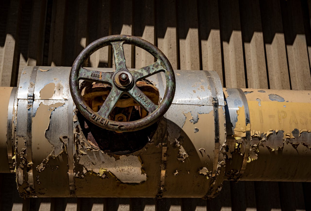 Pexels Photo 12194246