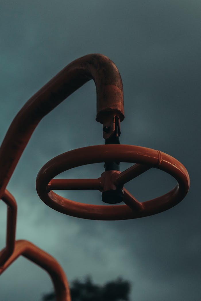 Pexels Photo 14344312