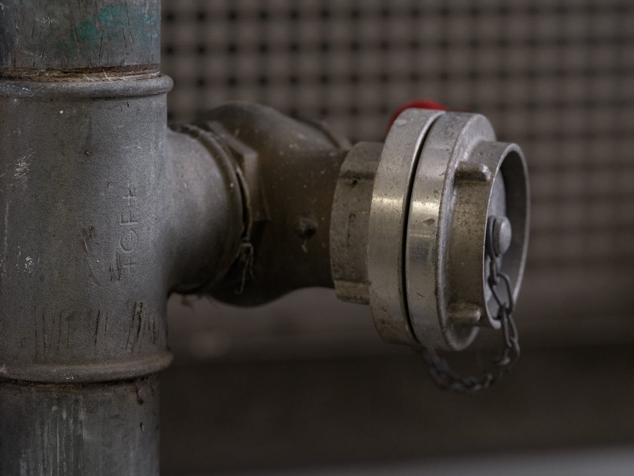 Pexels Photo 33863759